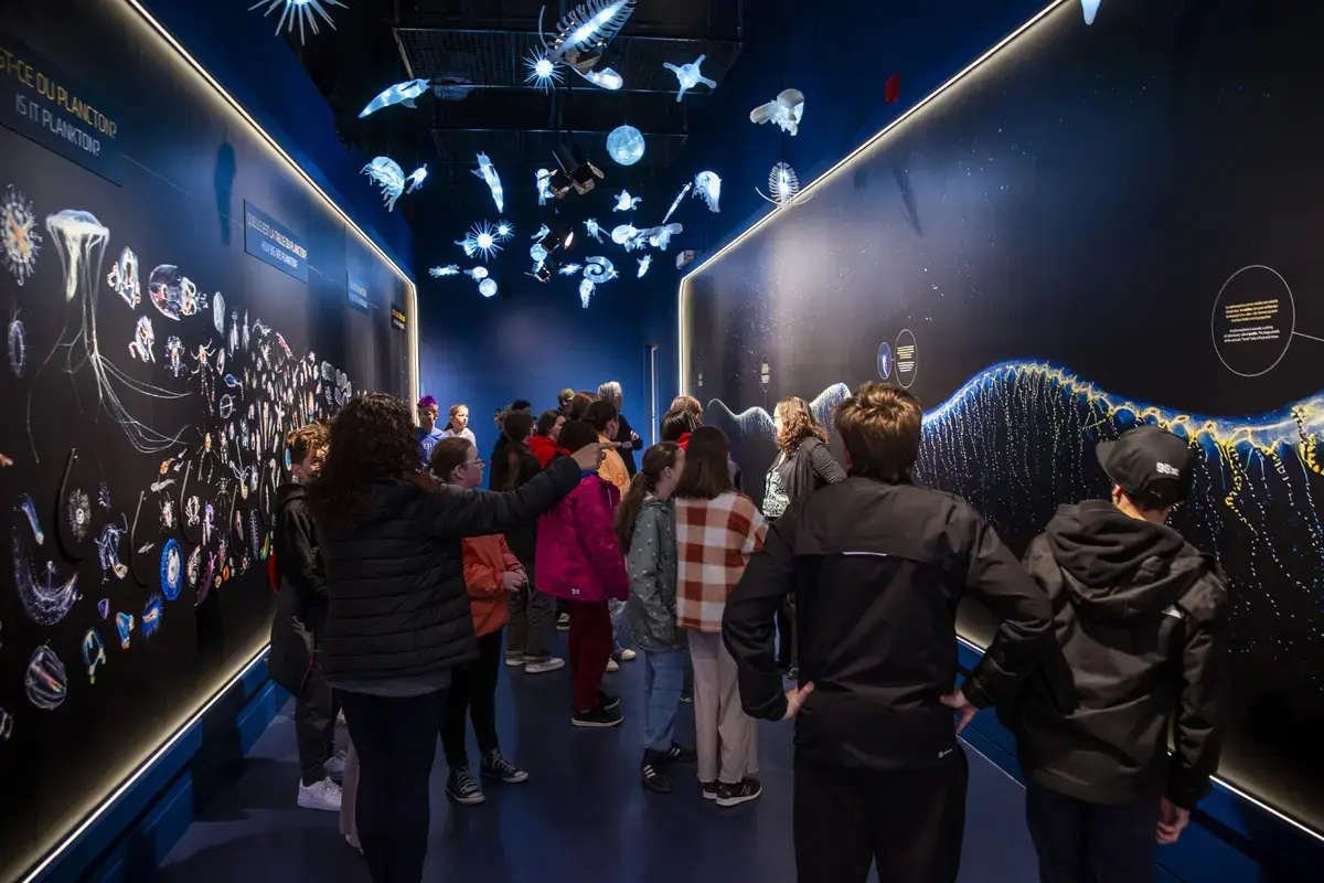 Plankton Odyssey Exhibit